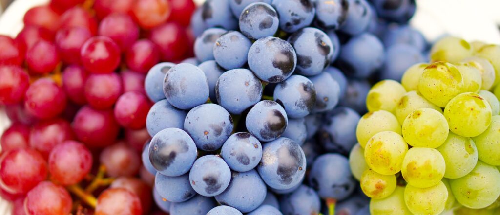 mieux comprendre les vins français